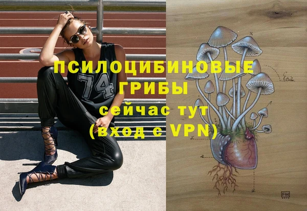 прущая мука Верея